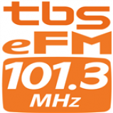Radio tbs eFM 101.3