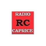 Radio Radio Caprice Acoustic Guitar