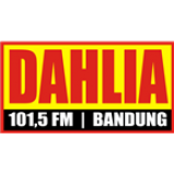 Radio Radio Dahlia 101.5
