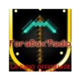 Radio Fora Box Radio