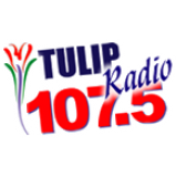 Radio Tulip Radio 107.5