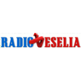 Radio Radio Veselia