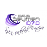 Radio Seymen FM 107.0