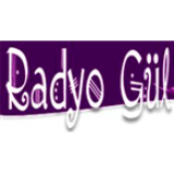 Radio Amasya Radyo Gul 102.5