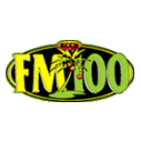 Radio FM 100 100.3