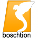 Radio Boschtion FM 95.2